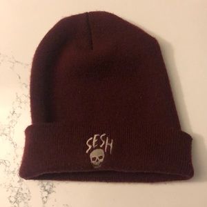 Sesh Beanie